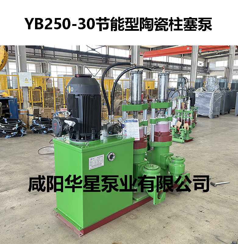 YB250-30節(jié)能型陶瓷柱塞泵-02 YB250-30節(jié)能型陶瓷柱塞泵-02