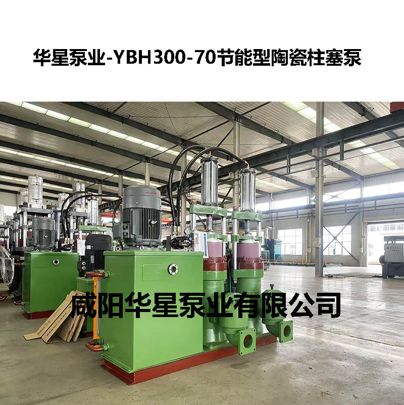 YBH300-60型節(jié)能陶瓷柱塞泵-06 YBH300-60型節(jié)能陶瓷柱塞泵-06