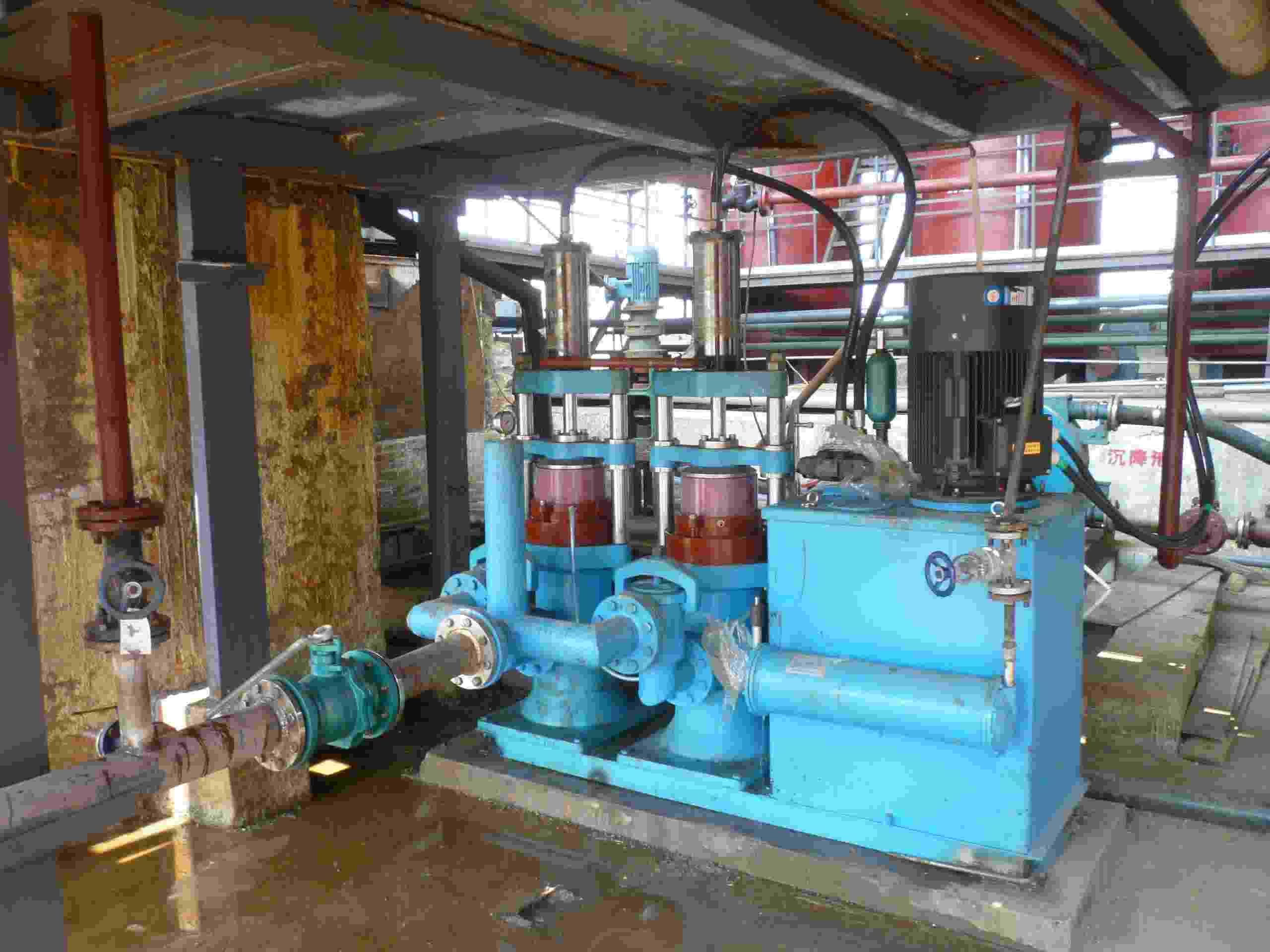 P1150291 (1) P1150291 (1)