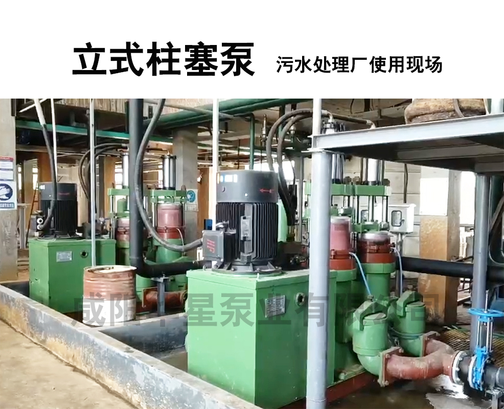 立式柱塞泵污水處理廠使用現(xiàn)場(chǎng) 立式柱塞泵污水處理廠使用現(xiàn)場(chǎng)