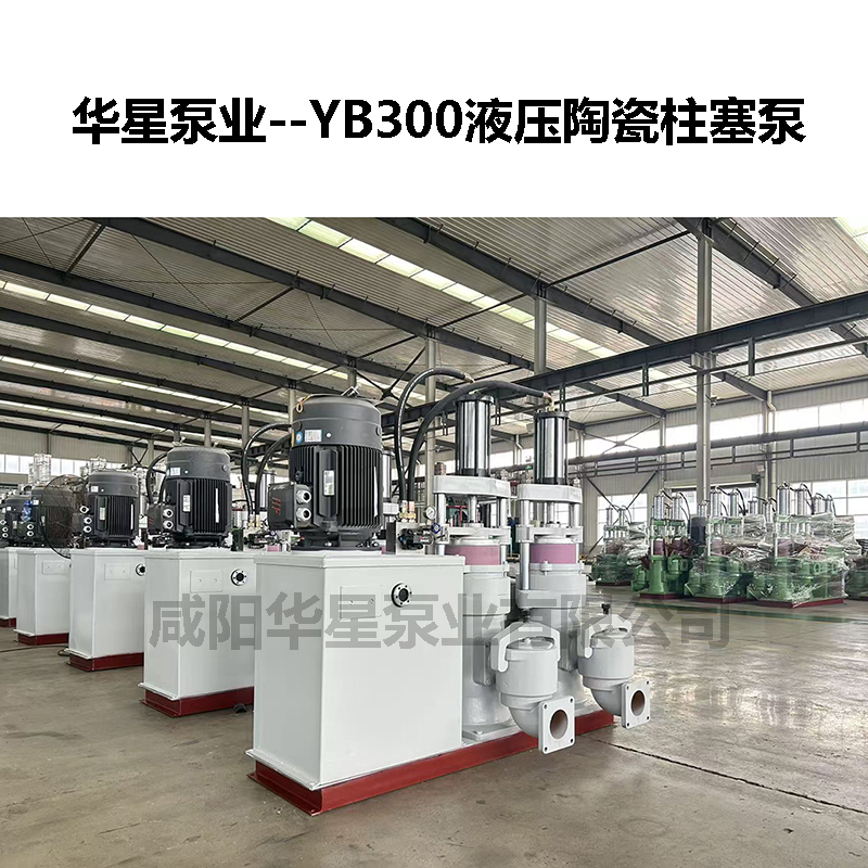 YB300液壓陶瓷柱塞泵-07 YB300液壓陶瓷柱塞泵-07